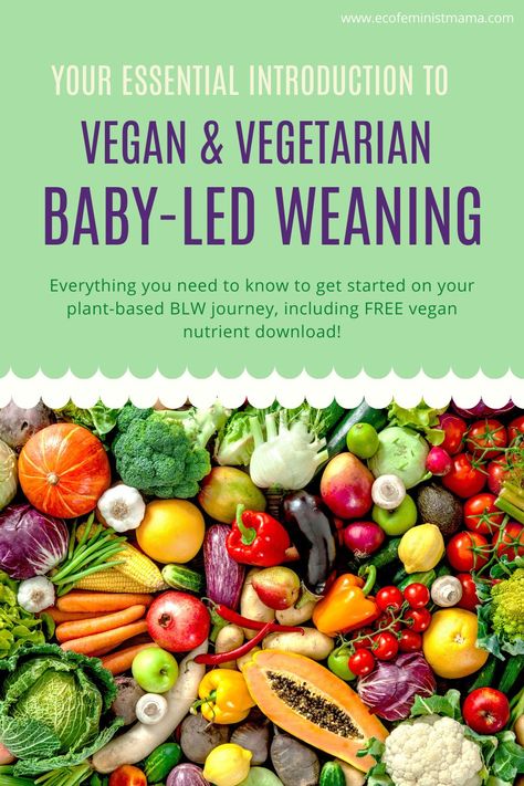 Baby Food Guide, Daycare Meals, Baby Nutrition, Baby Led Weaning First Foods, Baby Recipes, Crunchy Moms, Baby Led Weaning Recipes, Vegan Baby, Baby First Foods