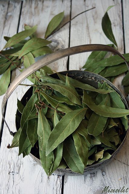 Spices Photography, Bay Leaves, Aromatic Herbs, Spices And Herbs, Healing Herbs, Herbal Medicine, Herb Garden, Fruits And Veggies, Color Themes