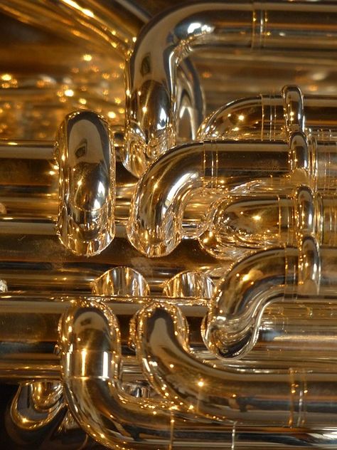 Free Image on Pixabay - Euphonium, Brass Instrument Brass Instrument, Brass Instruments, Band Geek, Concert Band, Band Pictures, Music Images, Brass Band, Music Aesthetic, Music Photo