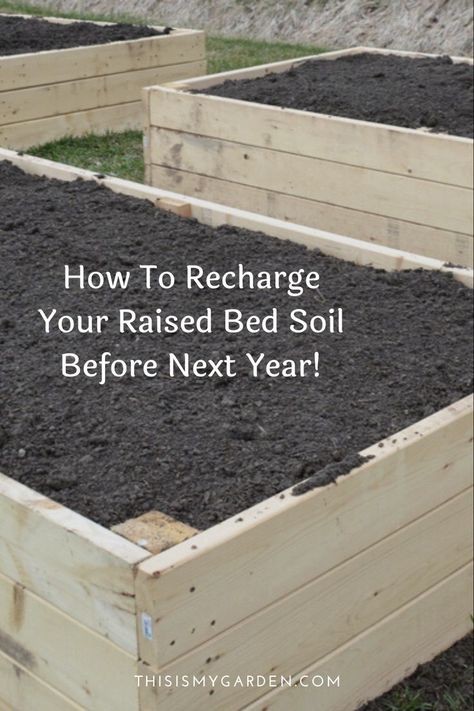 The spring, summer, and early fall growing season takes a big toll on the soil in raised beds! It takes nutrients to power crops, and as crops grow, they quickly deplete the limited resources available within the ground! Find out how to recharge raised bed garden soil this Fall! Raised Garden Beds Diy Vegetables, Tattoo Plant, Garden Remedies, Vegetable Garden Diy, Diy Raised Garden, Garden Compost, Garden Help, Veg Garden, Home Vegetable Garden