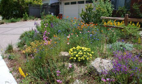 https://flic.kr/p/bSLYjx | another garden we did in Fremont | another garden we did in Fremont Reka Bentuk Landskap, California Native Landscape, California Landscaping, Native Plant Landscape, California Native Garden, California Plants, Drought Tolerant Landscape, California Native Plants, Native Plant Gardening