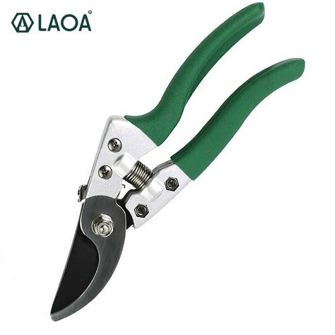 Fruit Tree Pruning, Pruning Fruit Trees, Silver Spray, Pruning Tools, Garden Scissors, Garden Shears, Tree Pruning, Fruit Tree, Bonsai Garden