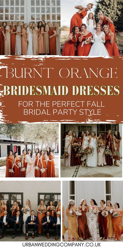 Burnt ornage bridesmaid dresses and outfits, mixmatched burnt ornage wedding party. The perfect fall wedding color has to be burnt ornage, we have velvet, silk, satin and chiffon burnt ornage ideas. Autumn vibes with mix and match burnt ornage bridal party. Burnt Orange Wedding Party, Orange Wedding Party, Burnt Orange Bridesmaid, Ombre Bridesmaid Dresses, Fall Wedding Style, Ombre Wedding Dress, Burnt Orange Bridesmaid Dresses, Bridesmaid Separates, Bridesmaids Jumpsuits