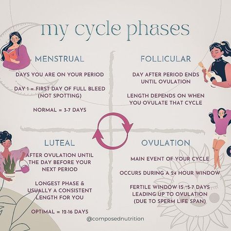 Cycle Awareness, Menstrual Phases, Increase Progesterone, Cycle Phases, Fertility Support, Menstrual Cycle Phases, Period Cycle, Fertility Nutrition, Progesterone Levels