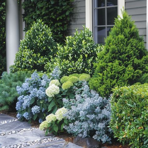 9 super low maintenance but beautiful landscaping ideas for the front of your house Installing Artificial Turf, Low Maintenance Shrubs, Beautiful Landscaping, Small Front Yard Landscaping, Small Front Yard, Perennial Shrubs, Easy Landscaping, Front Landscaping, Low Maintenance Landscaping