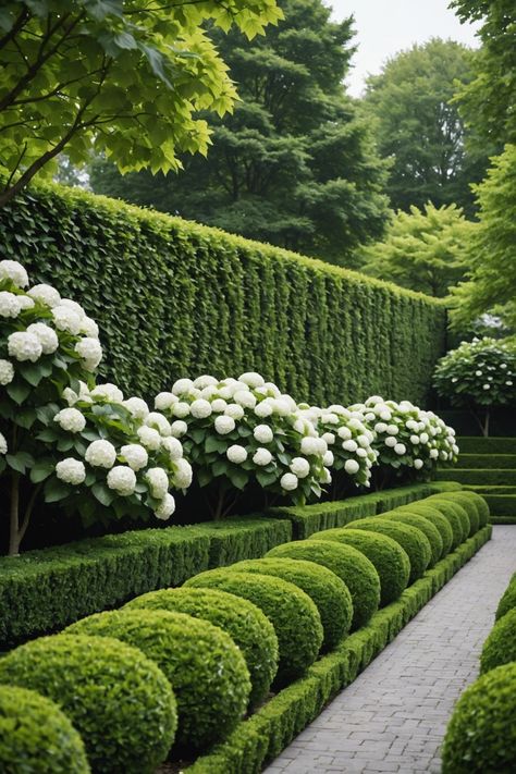 20 Stunning Hydrangea Garden Designs - Toolz Geek Luxury Backyard Garden, Modern English Garden Landscapes, Small Hydrangea Garden, Exterior Plants Front Yards, Pinky Winky Hydrangea Tree, Florida Gardens Landscaping, Boxwoods And Hydrangeas Front Of House, European Garden Landscaping, Incrediball Hydrangea Landscaping