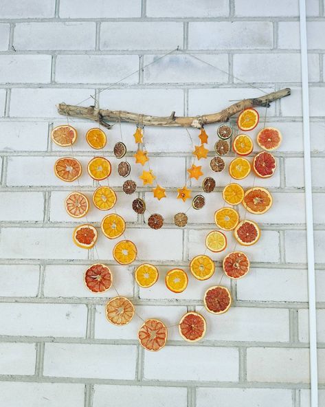 Citrus decoration Citrus Garland, Ideas Decoracion Salon, Exterior Decoration, Wood Branch, Creation Deco, Craft Night, Nature Crafts, Crafty Craft, Winter Holiday