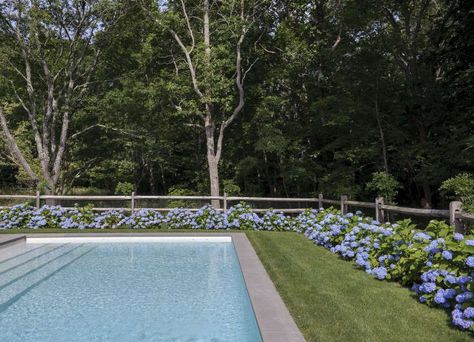 Dreaming in Blue at a Stylist’s Hamptons Compound Pool With Hedge Fence, Split Rail Fence Hydrangeas, Split Rail Fence Around Pool, Hydrangeas By Pool, Fence Around Pool Ideas, Hydrangea Around Pool, Pool With Fence, Hydrangea Hedge, Landscaping Steps