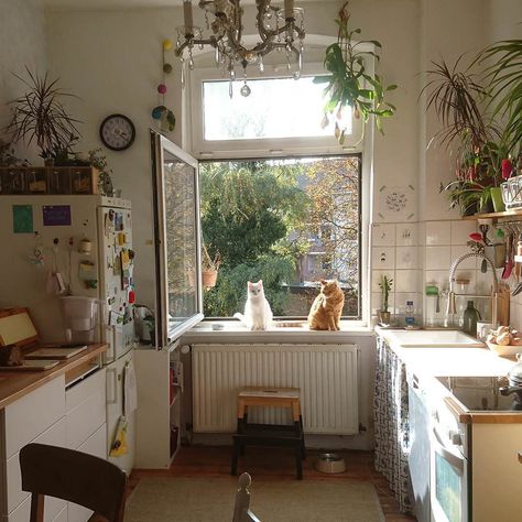 Cozy kitchen- white, light, open shelving, plants Cozy Apartment Decor, French Apartment, Junk Mail, Two Cats, Hus Inspiration, Dream Apartment, House Room, Cozy Apartment, Decor Minimalist