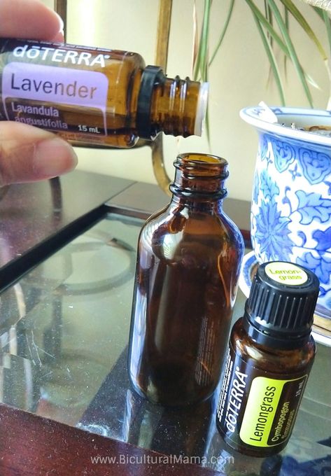 Diy Natural Mosquito Repellent, Mosquito Repellent Essential Oils, Diy Mosquito Repellent, Bug Spray Recipe, Natural Mosquito Repellent, Essential Oil Combinations, Natural Mosquito Repellant, Natural Bug Repellent, Essential Oil Plants