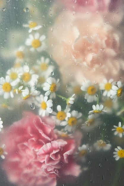 View of flowers behind glass with water ... | Premium Photo #Freepik #photo #flower #flower-bloom #bloom #blossom-flower Glass With Water, Wet Flowers, Envato Elements, Water Drops, Premium Photo, Iphone Wallpaper, Iphone, Water, Glass