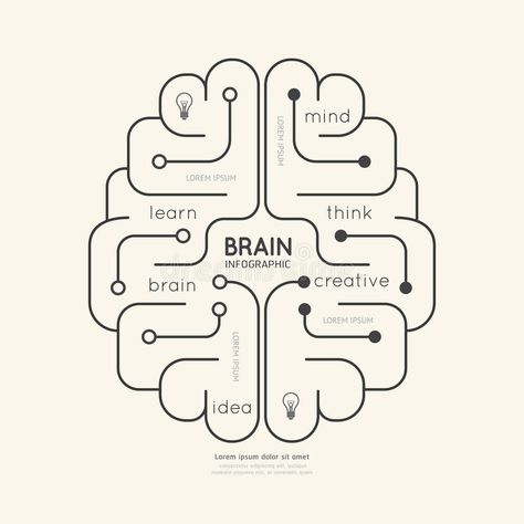 Infographic Education, Brain Graphic, Brain Vector, Brain Icon, Brain Illustration, Brain Mapping, Brain Logo, Lab Logo, Future School