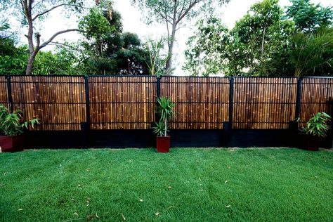 Bamboo Privacy Fence | Google Image Result for http://www.bamboologistics.com.au/images ... Bamboo Backyard, Privacy Fence Decorations, Bamboo Privacy Fence, Backyard Privacy Fence, Bamboo Garden Fences, Bamboo Screening, Garden Fence Panels, Backyard Fence, Concrete Fence