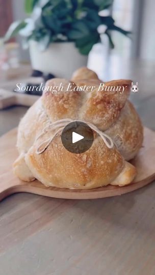 3K views · 38 reactions | Easter bunny sourdough .. 🐰 never have I ever needed to learn how to make sourdough before!                                                   Created by: @bellatrixfit #sourdough #sourdoughrecipe #easterbunny #easterfood #cutefood #springflowers #foodblogger | Tara • Lovlie Cakes Rabbit Sourdough, Easter Bunny Sourdough Loaf, Easter Bunny Sourdough, Bunny Sourdough Bread, Bunny Sourdough, Easter Sourdough Scoring, Sourdough Shaping, Sourdough Rolls, Sourdough Baking