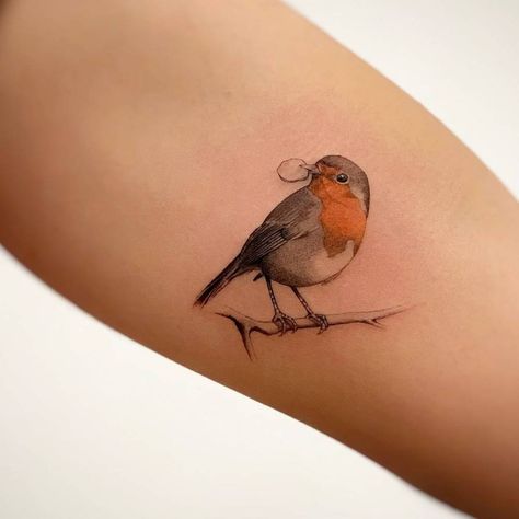 Robin Tattoo Design, Robin Tattoos, Realistic Bird Tattoo, Robin Bird Tattoos, Exotic Tattoos, Robin Tattoo, Tiny Bird Tattoos, Mum Tattoo, Vogel Tattoo