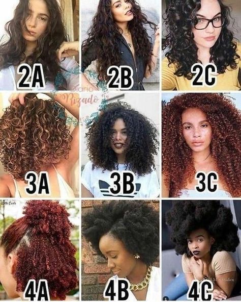 4D Hair Type - Do You have It? Find Out TODAY [w/ Charts  Photos] 4d Hair Type, 4d Hair, Hair Type Chart, Fesyen Rambut, Curly Hair Types, Hair Porosity, Curly Girl Method, Curly Hair Inspiration, Curly Hair Routine