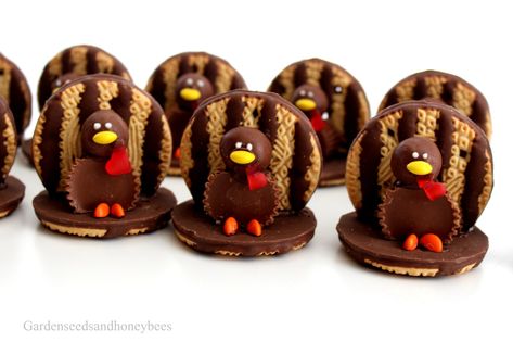 Turkey Cookie Treats - Garden Seeds and Honey Bees Cookie Turkey Fudge Stripe, Fudge Stripe Turkey Cookies, Turkey Candy Crafts, Turkey Cookies For Kids, Oreo Turkey Cookies, Candy Turkeys, Thanksgiving Turkey Treats, Thanksgiving Turkey Cookies, Milk Balls