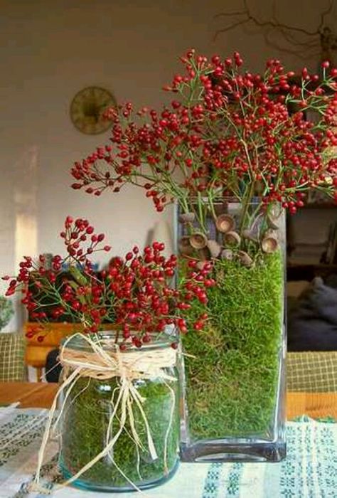 Love the fall Multiflora Rose, Deco Table Noel, Rose Hips, Deco Nature, Invasive Species, Deco Floral, Fall Centerpiece, Noel Christmas, Christmas Centerpieces