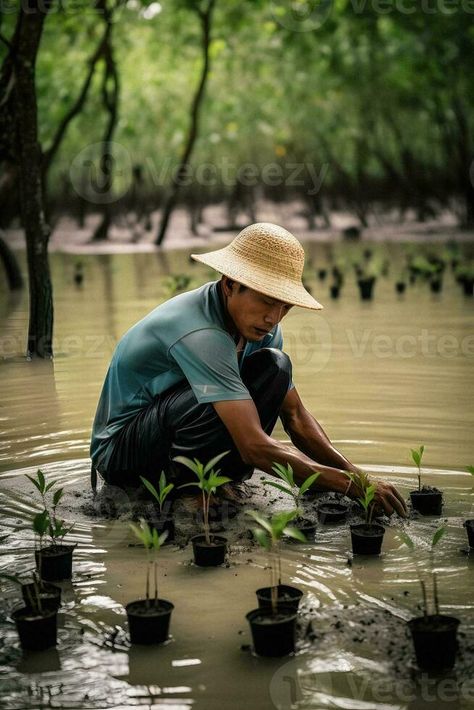 Restoring the Coastline Community Engagement in Planting Mangroves for Environment Conservation and Habitat Restoration on Earth Day, Promoting Sustainability. Earth day Generative Ai Environment Conservation, Mangrove Infographic, World Nature Conservation Day, Mangrove Ecosystem, Soil Contamination, Community Engagement, Earth Day, Sustainability, Royalty Free Stock Photos