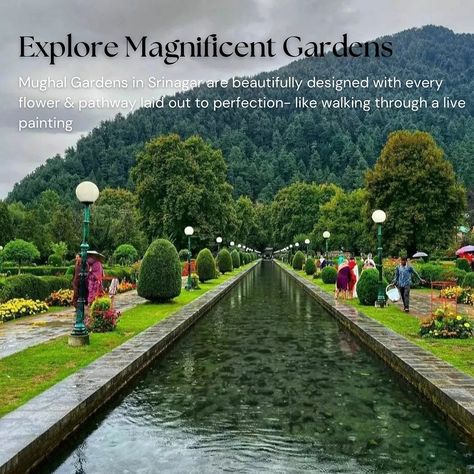 Plan your trip to Kashmir with these must do activities 👇🏻 🚡 Gondola Ride: A must try thing to do when in Gulmarg. It lifts you up through the clouds, offering stunning views of the valley from top of Apharwat mountain. There are many activities at Gulmarg Gondola Phase 1 which you can enjoy! 🏠 Stay in Houseboat: Staying in a houseboat at Dal Lake is something unique to Kashmir. It’s like floating on a hotel room, with the calm waters and snowy mountains around you— it’s so serene. 🚣🏻‍♂️ R... Gulmarg Gondola, Dal Lake, Gondola Ride, Calm Waters, Live Painting, Srinagar, Houseboat, Snowy Mountains, Calm Water