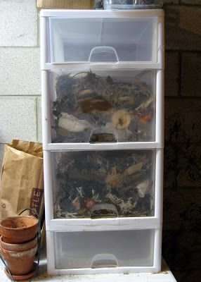 Worm bin made from plastic drawers. Vermiculture Worm Farm, Chicken Coop Easy, Worm Farm Diy, Worm Beds, Worm Composting Bin, Make Compost, Chicken Feeder Diy, Worm Bin, Chicken Feeders