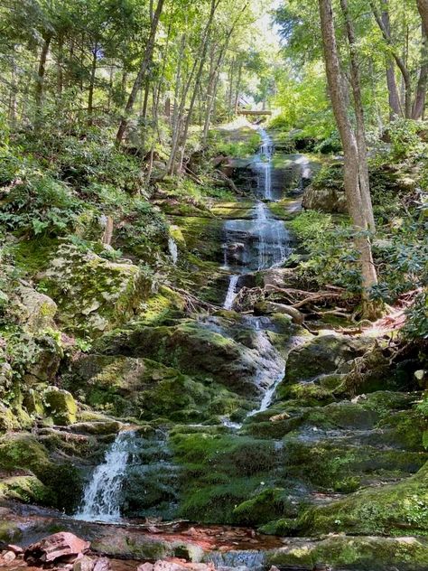 Buttermilk Falls, Delaware Water Gap, Backcountry Camping, Delaware River, Us Destinations, Outdoor Playground, Swimming Holes, Canoe And Kayak, Scenic Drive