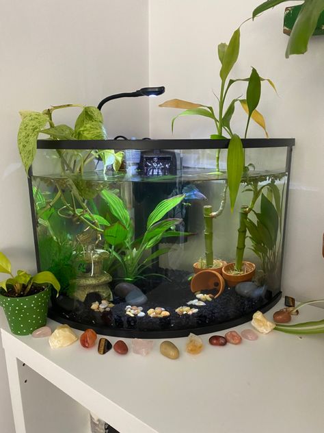 Cute Fish Tank, Tanaman Air, Fish Tank Ideas, Fish Aesthetic, Fish Tank Themes, Fish Tank Terrarium, Cool Fish Tanks, Fish Tank Design, Unique Fish