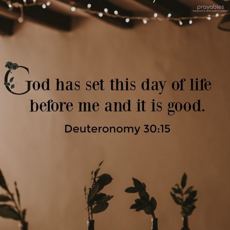 Bible: Deuteronomy 30:15 – Prayables Deuteronomy 30, Hand Painted Bible, Seek God, Bible Text, Christian Love, Verses For Cards, Thinking Quotes, Palm Sunday, Bible Study Notes