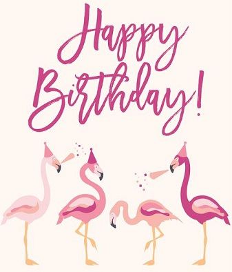 Flamingo Happy Birthday, Birthday Flamingo, Birthday Wishes Greetings, Funny Flamingo, Flamingo Birthday, Flamingo Art, Beach Birthday, Happy Birthday Messages, Birthday Messages