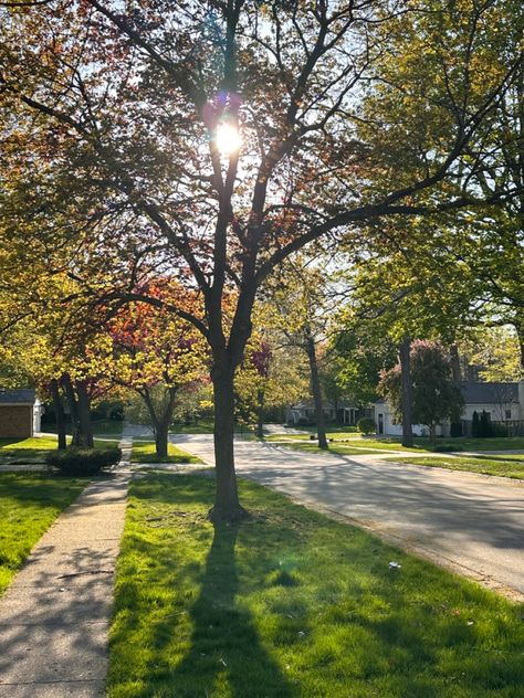 Small Town Neighborhood Aesthetic, Old Neighborhood Aesthetic, Suburban City Aesthetic, Small Neighborhood Aesthetic, Small Town Neighborhood, Small Island Aesthetic, Summer Neighborhood Aesthetic, Cute Small Town Aesthetic, Small Town High School Aesthetic