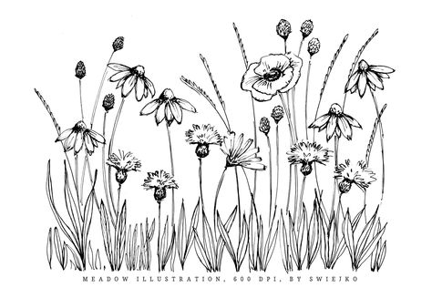 Drawn Wild Flowers, Meadow Flowers Drawing, Wild Flower Line Drawing, Meadow Flowers Tattoo, Meadow Tattoo, Meadow Drawing, Wild Flower Drawing, Wild Flowers Drawing, Line Drawn Flowers