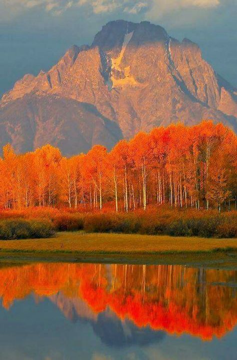 Fall  colors in Grand  Tetons, Wyoming Elven Aesthetic, Matka Natura, Jackson Hole Wyoming, Jackson Hole, Alam Yang Indah, Still Water, Pretty Places, Mountain Landscape, Vacation Spots