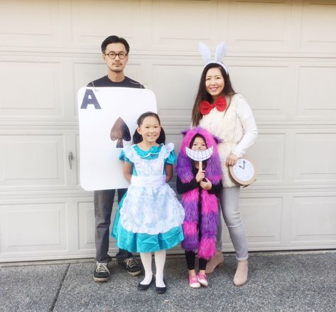 Diy Alice In Wonderland, Family Costume Ideas, Family Costumes Diy, Family Themed Halloween Costumes, Hello Kitty Costume, Alice In Wonderland Diy, Themed Halloween Costumes, Alice In Wonderland Dress, Easy Diy Costumes