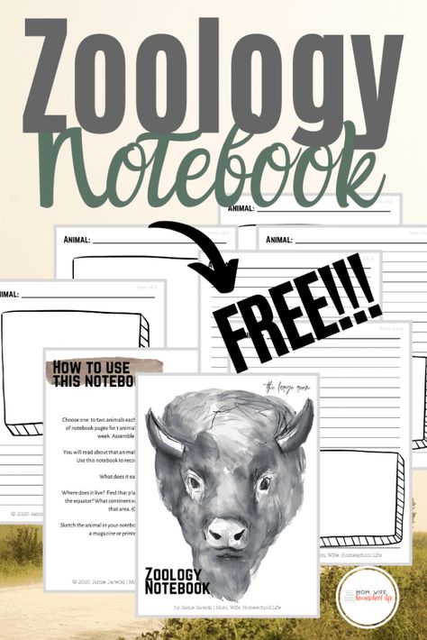 Zoology Aesthetic Notes, Fun Activites, Animal Lessons, Free Homeschool Printables, Science Notebooks, Homeschool Education, Animal Science, Homeschool Life, Homeschool Printables