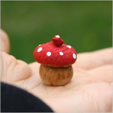 Acorn crafts from the ground up Toadstool Craft, Nut Crafts, Acorn Craft, Acorn Painting, 4h Ideas, Acorn Decorations, Acorn Ornaments, Fairy Stuff, Mushroom Crafts