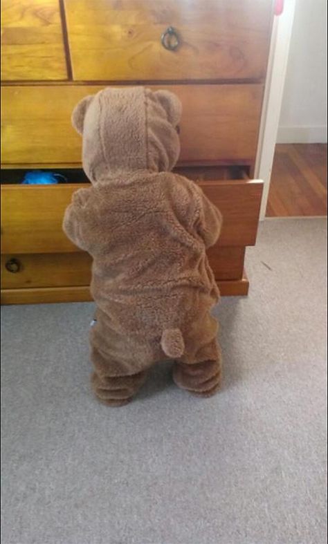 Too cute - the OP writes "Put my son to sleep in his new onesie, woke up to a bear raiding my drawers." - Imgur Foto Kids, New Baby Names, Foto Baby, E Card, Baby Outfits, Cute Bears, Future Kids, Future Baby, 귀여운 동물