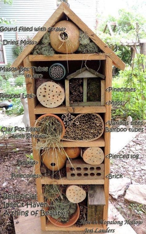 Bee Houses, Bee Hotel, Solitary Bees, Insect Hotel, Mason Bees, Bug Hotel, Garden Insects, Bee Garden, Wildlife Gardening