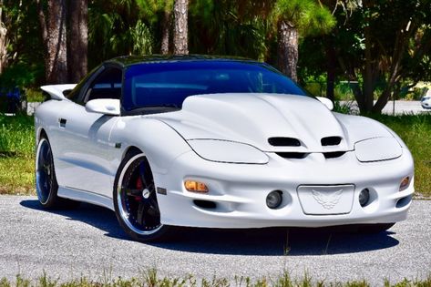 Trans Am Ws6, Trans Am For Sale, Hot Rods Cars Muscle, West Palm Beach Florida, Pontiac Firebird Trans Am, Pontiac Cars, Firebird Trans Am, Cars Muscle, Palm Beach Florida