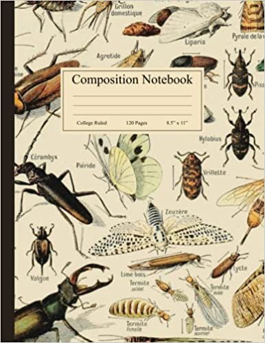 Composition Notebook: Vintage Insect Illustration. Entomology Science Lined Journal, College Ruled, 120 Pages, 8.5" x 11": Press, Productive Stationery: 9798438533979: Amazon.com: Books Goodnotes Covers, Botanical Notebook, Journal Cover Page, Insect Illustration, Composition Notebook Covers, Big Brain, Storyboard Illustration, College Notes, The Artist Movie