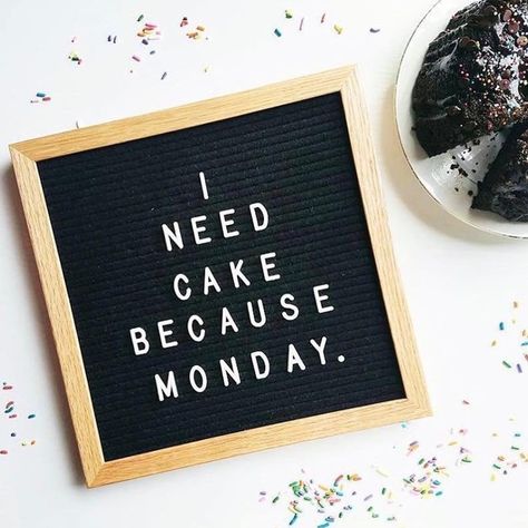 Dessert Quotes, Funny Drunk Texts, Monday Humor Quotes, Baking Quotes, Message Board Quotes, Cake Quotes, Drunk Texts, Drunk Humor, Monday Humor