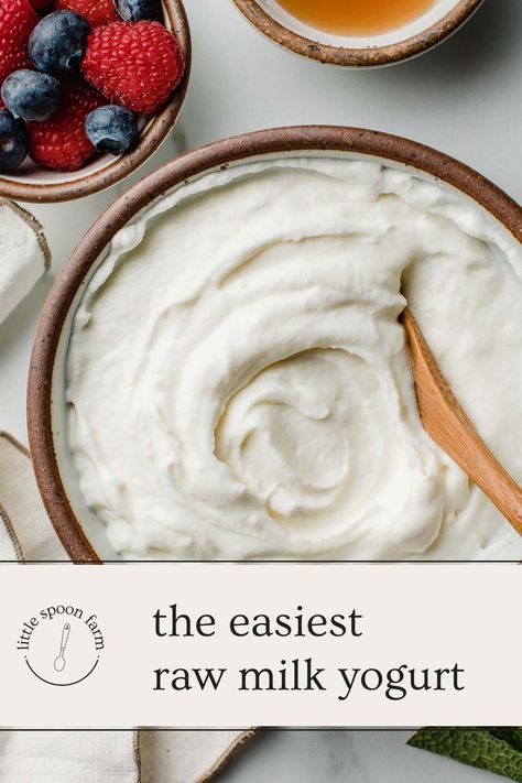 Make raw milk yogurt at home using an Instant Pot without a yogurt button, a dehydrator, a proofing box, or an oven. All the benefits of raw milk are preserved in this easy, cold-start yogurt recipe. Yogurt In The Instant Pot, Instant Pot Yogurt Recipe, Homemade Yogurt Recipes, Diy Yogurt, Instant Pot Yogurt, Fermented Milk, Making Yogurt, Yogurt Recipe, Easy Cold