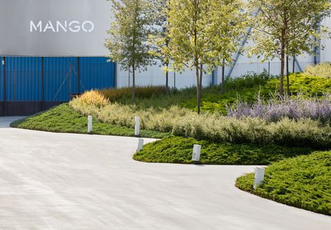 Mango the Line by AELAND « Landscape Architecture Platform | Landezine Landscape And Urbanism Architecture, Green Scenery, Spain Design, Urban Landscape Design, Porto Rico, Landscape And Urbanism, Ground Cover Plants, Different Shades Of Green, Evergreen Shrubs