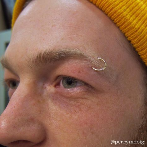 Eyebrow Piercing Hoop, Eyebrow Piercing Jewelry, Eyebrow Ring, Eyebrow Piercing, Piercing Ring, Piercing Jewelry, Nostril Hoop Ring, Tattoos And Piercings, Ear Piercings