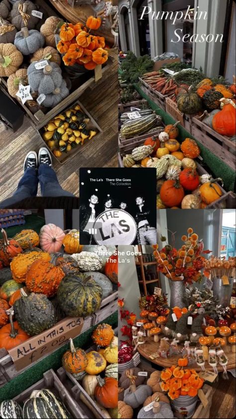 Fall Insta Story Template, Pumpkin Patch Instagram Story, Halloween Story Ideas Instagram, Halloween Ig Story Ideas, Fall Insta Story Ideas, Fall Story Instagram, Halloween Ig Story, Fall Ig Story, October Instagram Story