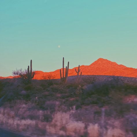 Arizona desert aesthetic Arizona Desert Aesthetic, Aesthetic Desert, Desert Aesthetic, Desert Vibes, Arizona Desert, Western Aesthetic, Aesthetic Painting, Aesthetic Aesthetic, The Desert