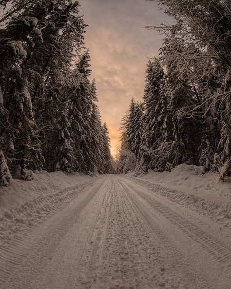 Road Aesthetic, Snowy Road, Light Spring Colors, Road Photo, Winter Road, Earth Pictures, Winter Scenery, Destination Voyage, Best Seasons