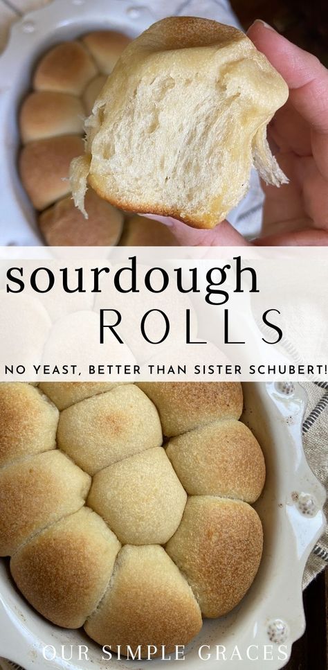 Rolls No Yeast, Sourdough Dinner Rolls, Yeast Rolls Recipe, Recipe Using Sourdough Starter, Sourdough Rolls, Sourdough Starter Discard Recipe, Dinner Roll, Gluten Free Sourdough, Homemade Sourdough Bread