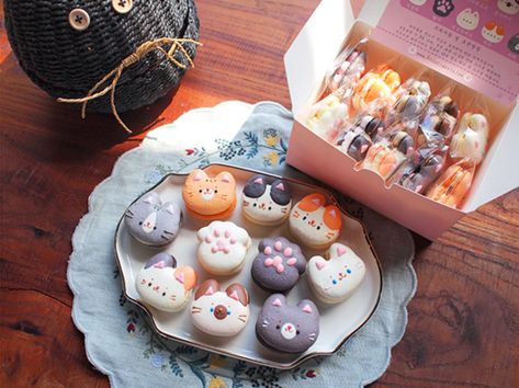 Cat Cookies, Macaroon Recipes, Pretty Dessert, Cute Snacks, Easy Baking Recipes Desserts, Cat Cake, Bread Cake, Baking And Pastry, Kawaii Food