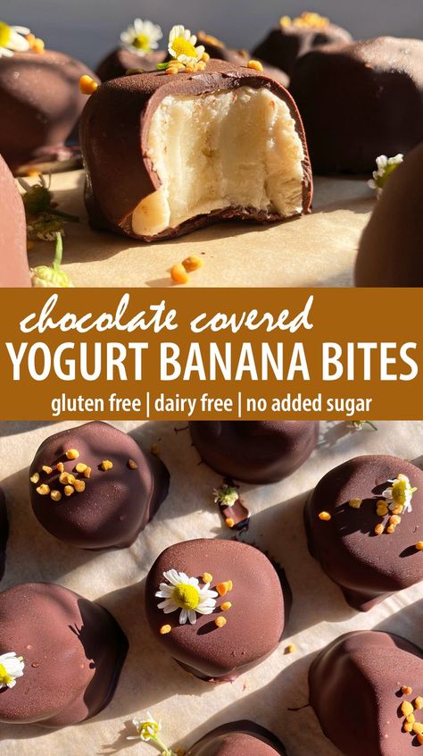 These frozen banana yogurt bites are paleo, vegan and have no added sugar. They're made with ripe bananas, dairy free yogurt and coated in dark chocolate. This banana bites recipe is the perfect summer treat! Banana Protein Bites, Banana Yogurt Bites, Freezer Treats, Healthy Kids Snacks, Work Snacks, Adult Snacks, Frozen Fruit Recipes, Frozen Yogurt Bites, Healthy Fruit Snacks