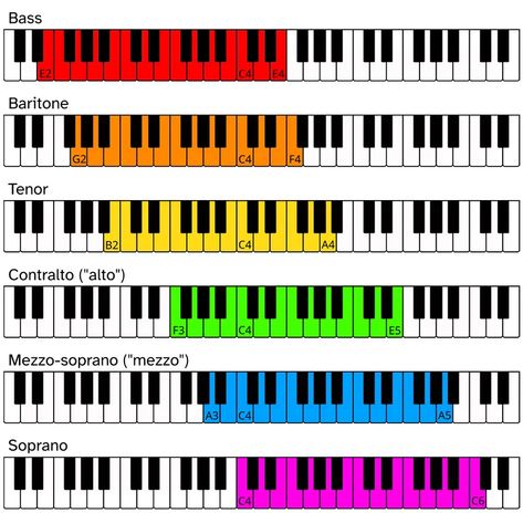 Vocal Range Calculator | Find My Voice Type Music Engineers, Type Chart, Vocal Exercises, Choral Music, Mezzo Soprano, Vocal Range, Singing Voice, Modern Music, Contemporary Music